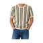Brave Soul Knit tshirt (CREAMLT GREENMID GREEN)