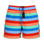 Premium Men's Swimshorts Lot