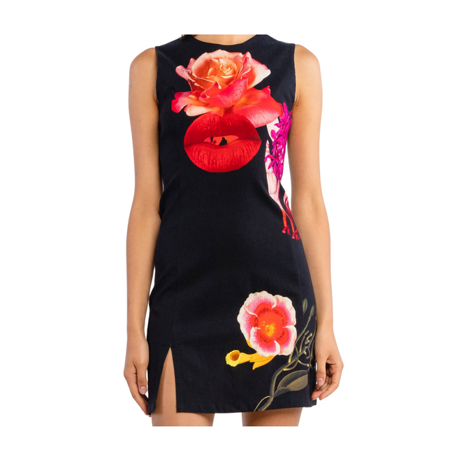 Desigual Dress (Lips)