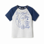 Desigual TOP (Template 1)