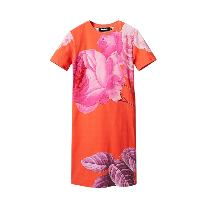 Desigual Dress (Luz)