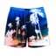 Premium Men's Swimshorts Lot