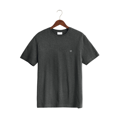 Gant Tshirt (gray)