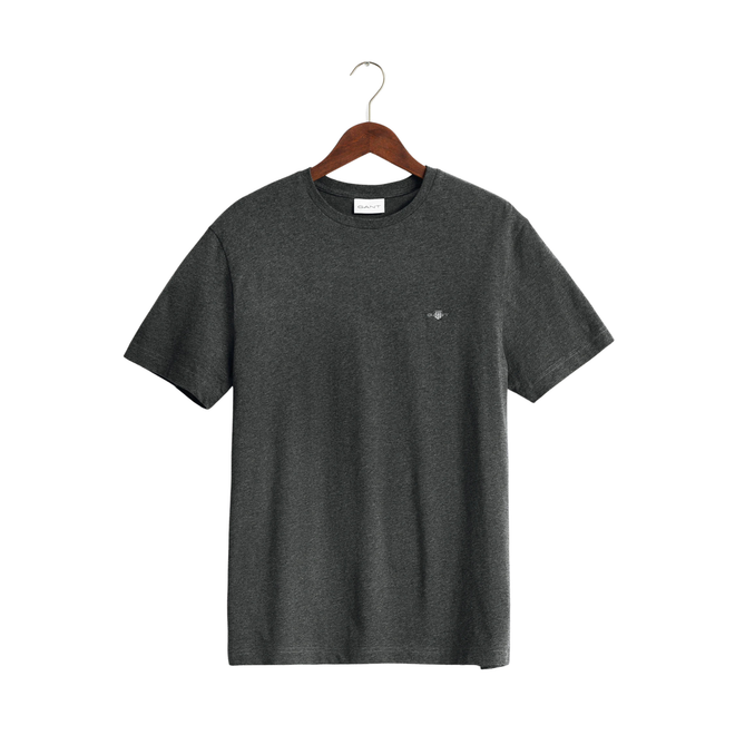 Gant Tshirt (gray)