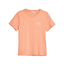 Gant Tshirt (Pink)