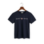 Gant Tshirt (blue)