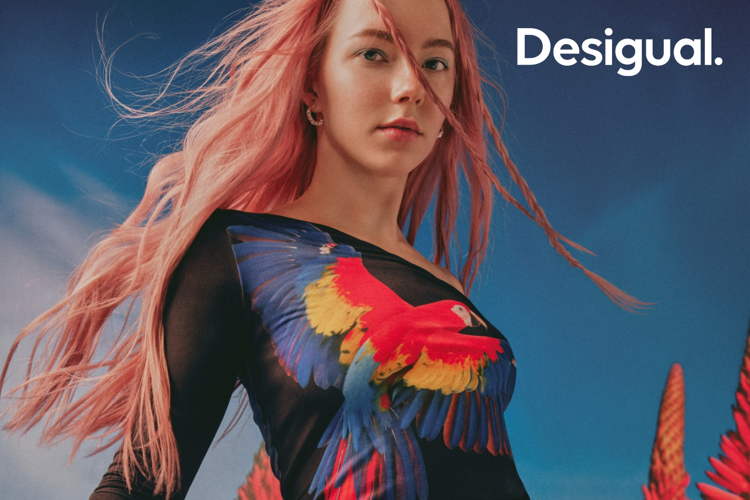Discover The New Collection